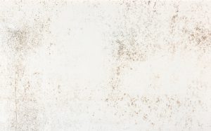 Nilium Dekton Surface